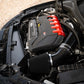 E-INTAKE Luftleitblech - Audi RS3 8V